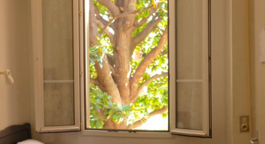 ניס Hotel Belle Meuniere מראה חיצוני תמונה